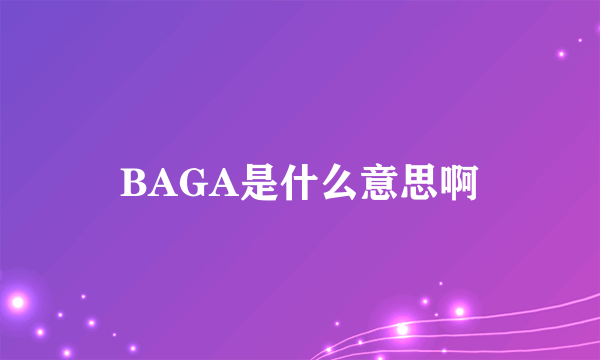 BAGA是什么意思啊