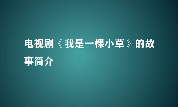 电视剧《我是一棵小草》的故事简介