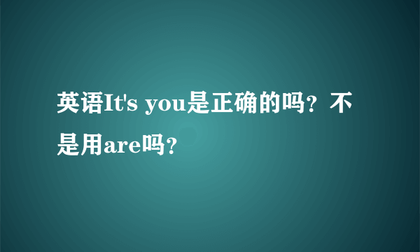 英语It's you是正确的吗？不是用are吗？