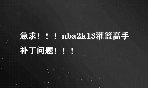 急求！！！nba2k13灌篮高手补丁问题！！！