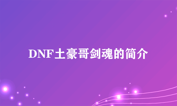 DNF土豪哥剑魂的简介