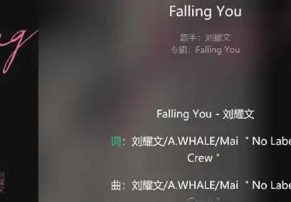 falling you刘耀文歌词