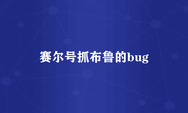 赛尔号抓布鲁的bug