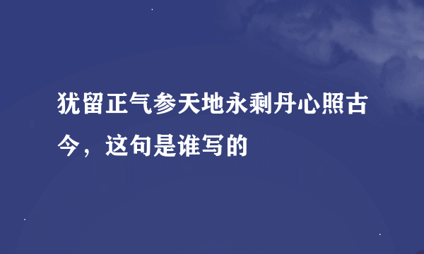 犹留正气参天地永剩丹心照古今，这句是谁写的