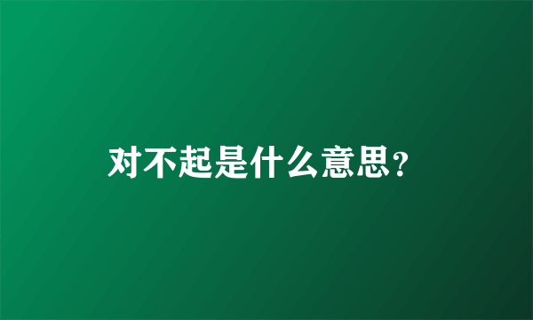 对不起是什么意思？