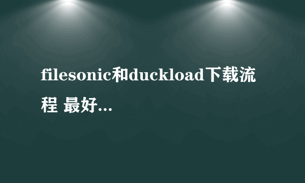 filesonic和duckload下载流程 最好有截图 求高手