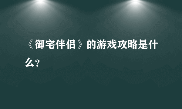 《御宅伴侣》的游戏攻略是什么？