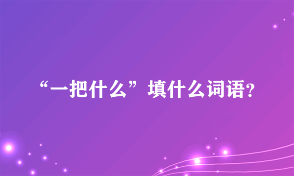 “一把什么”填什么词语？