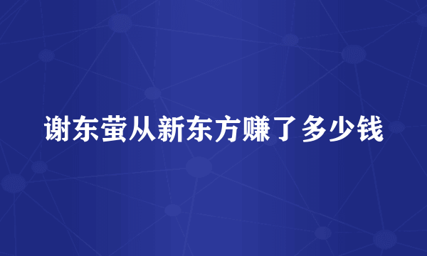 谢东萤从新东方赚了多少钱