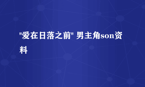 ''爱在日落之前'' 男主角son资料