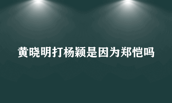 黄晓明打杨颖是因为郑恺吗