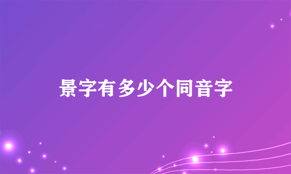 景字有多少个同音字