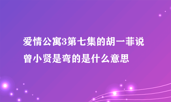 爱情公寓3第七集的胡一菲说曾小贤是弯的是什么意思