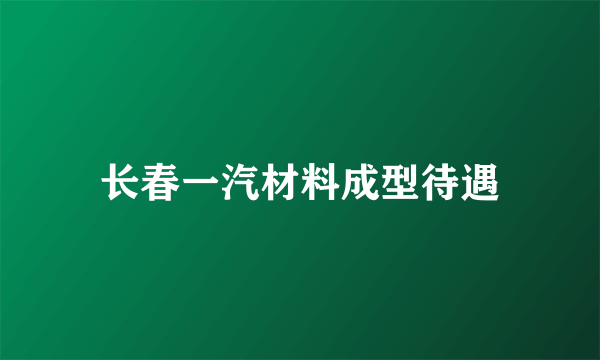 长春一汽材料成型待遇