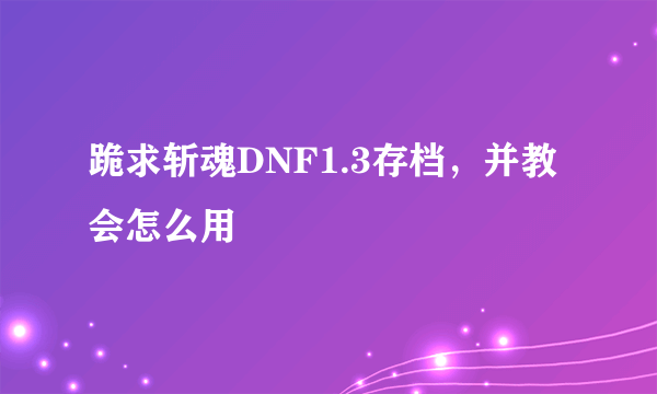 跪求斩魂DNF1.3存档，并教会怎么用