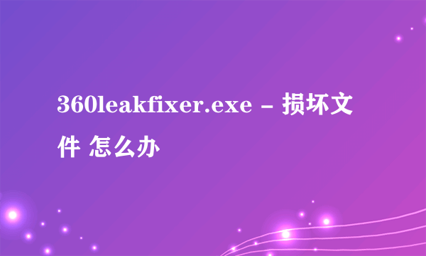 360leakfixer.exe - 损坏文件 怎么办