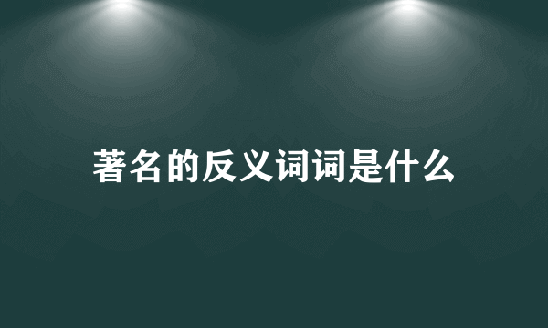 著名的反义词词是什么