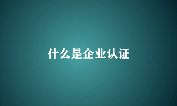 什么是企业认证