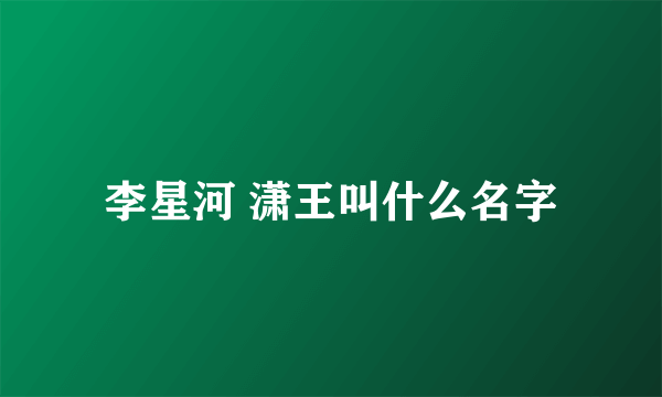 李星河 潇王叫什么名字