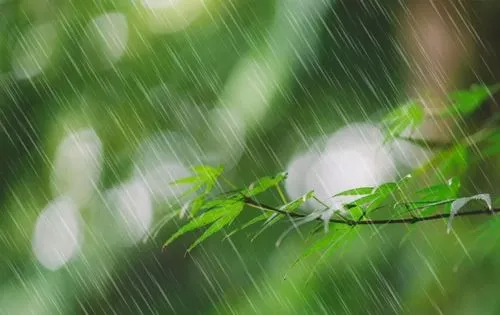 带雨的诗句100首