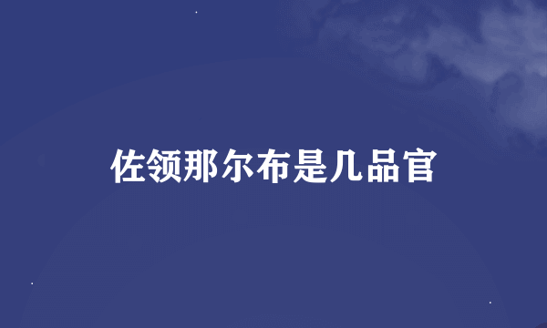 佐领那尔布是几品官