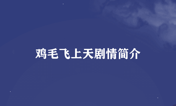 鸡毛飞上天剧情简介