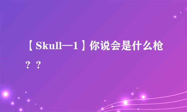 【Skull—1】你说会是什么枪？？