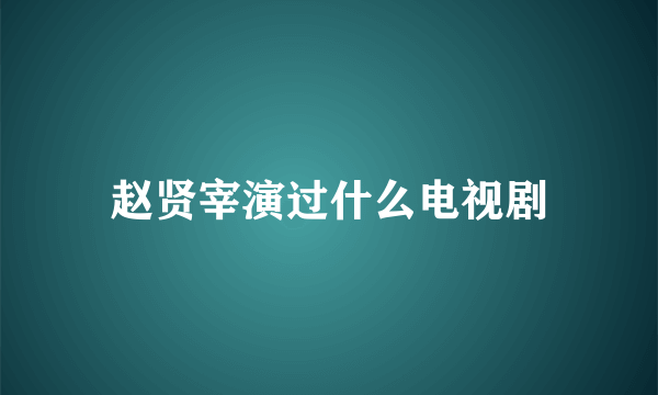 赵贤宰演过什么电视剧