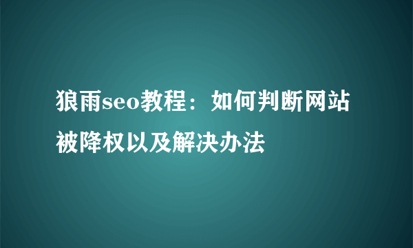 狼雨seo教程：如何判断网站被降权以及解决办法