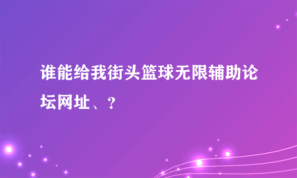 谁能给我街头篮球无限辅助论坛网址、？