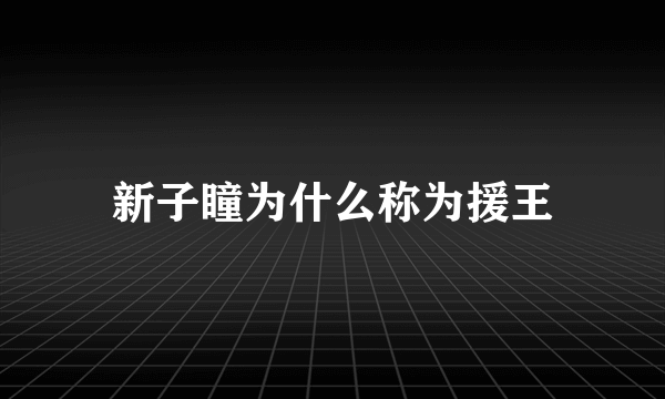 新子瞳为什么称为援王