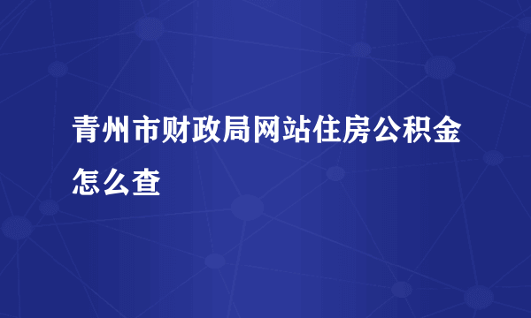 青州市财政局网站住房公积金怎么查