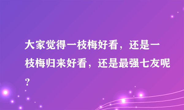 大家觉得一枝梅好看，还是一枝梅归来好看，还是最强七友呢？