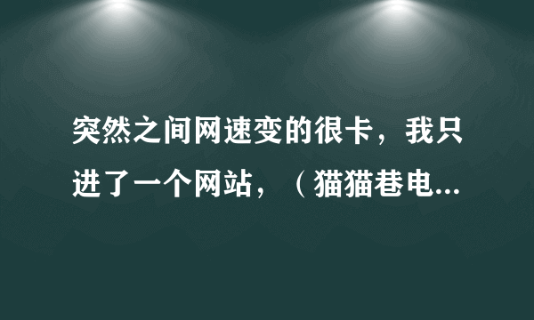 突然之间网速变的很卡，我只进了一个网站，（猫猫巷电影网）还有用360补了一个漏洞，求助啊！