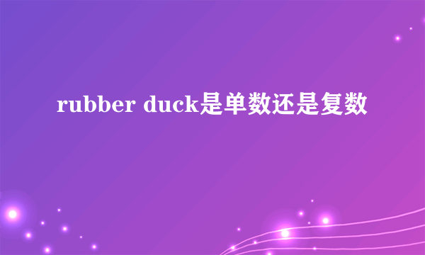 rubber duck是单数还是复数