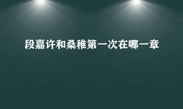 段嘉许和桑稚第一次在哪一章