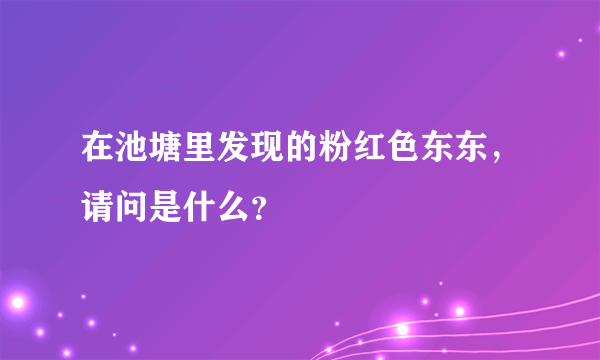 在池塘里发现的粉红色东东，请问是什么？