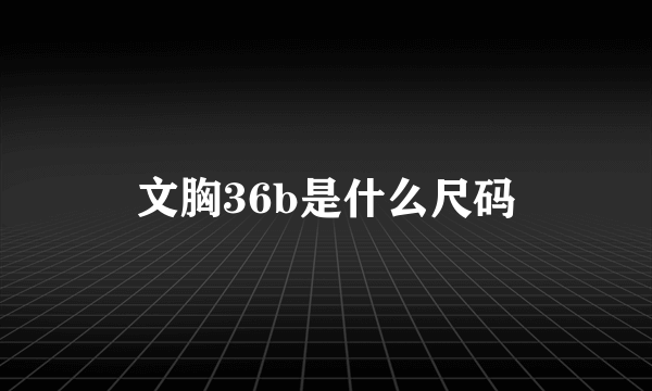 文胸36b是什么尺码