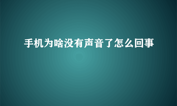 手机为啥没有声音了怎么回事