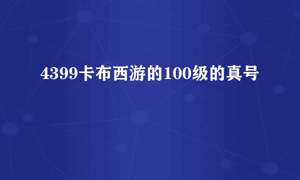 4399卡布西游的100级的真号