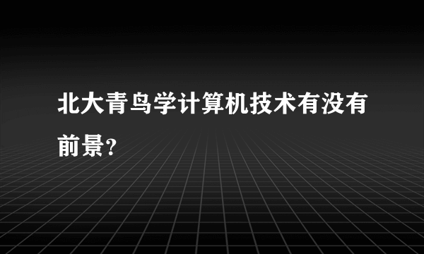 北大青鸟学计算机技术有没有前景？