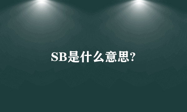 SB是什么意思?