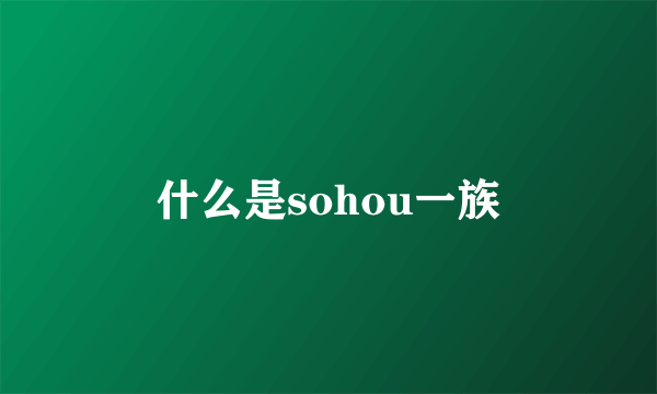 什么是sohou一族