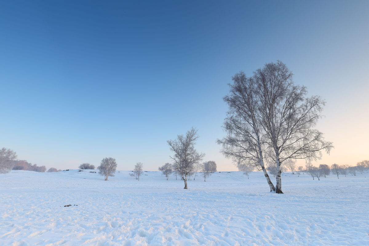 《沁园春雪》全诗是什么？