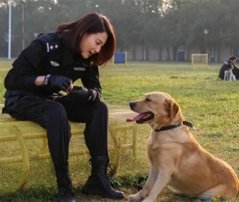 《警花与警犬》大结局樱桃死了吗？