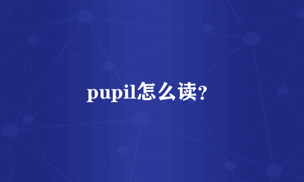 pupil怎么读？