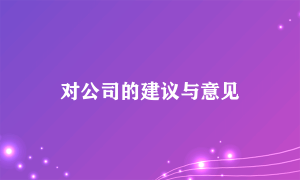 对公司的建议与意见