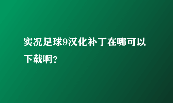 实况足球9汉化补丁在哪可以下载啊？