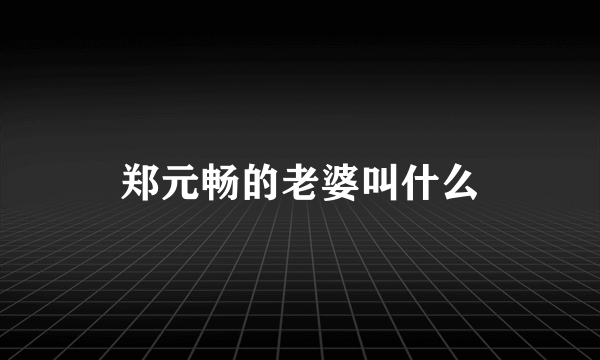 郑元畅的老婆叫什么