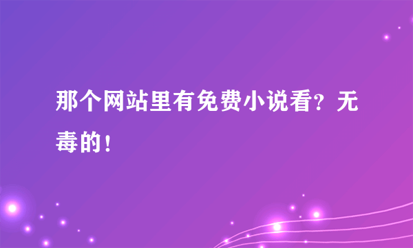 那个网站里有免费小说看？无毒的！